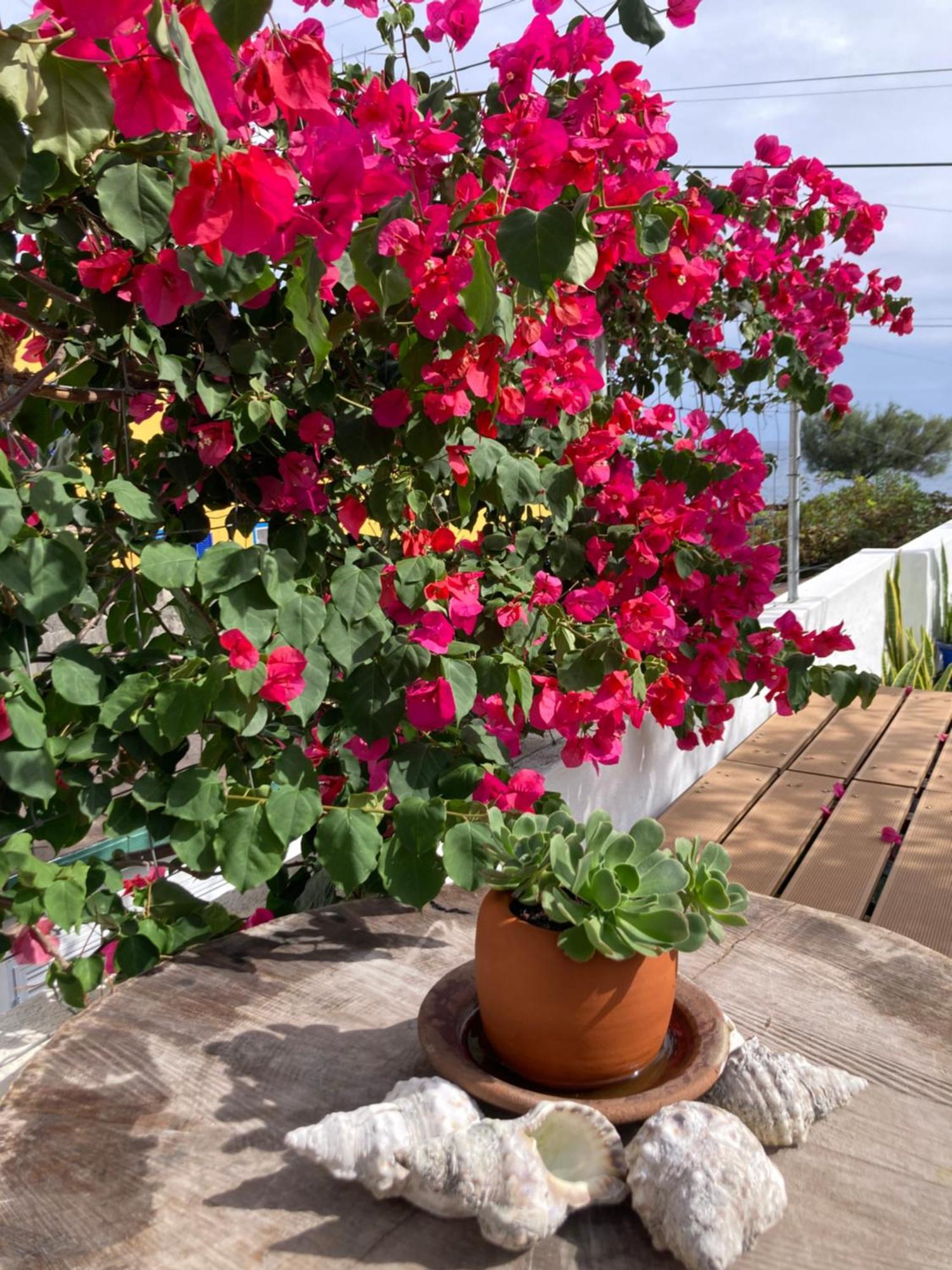 Holiday home Agua E Sal - Seafront House, With Garden And Independent Suite.